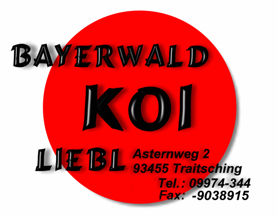 Bayerwald-Koi-Liebl